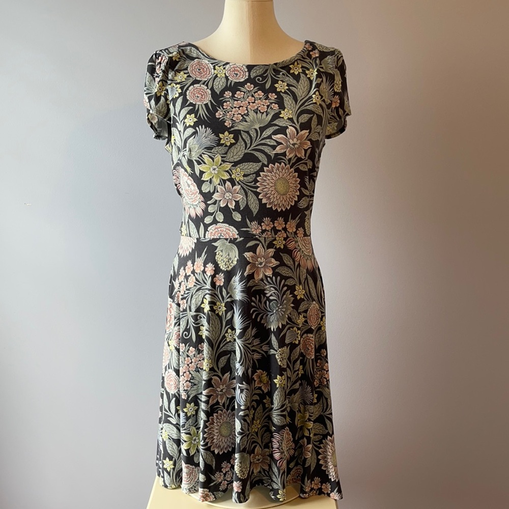 Loft beautiful dress